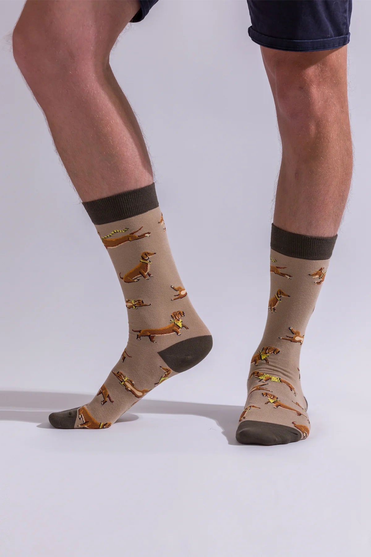 You Look Dachshing Socks